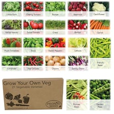 Pronto Seed Vegetable Seeds Bumper Pack – 21 Popular Varieties, Over 1,700 Seeds for Growing Your Own Veg