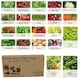 image 1 of Pronto Seed Vegetable Seeds Bumper Pack – 21 Popular Varieties, Over 1,700 Seeds for Growing Your Own Veg