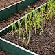 image 4 of GardenSkill Garden Raised Vegetable Bed 3.75x1.25x0.5m H - Modular Crop Flower Planter Frame - Ultra Deep 20 Inch Grow Box Trough
