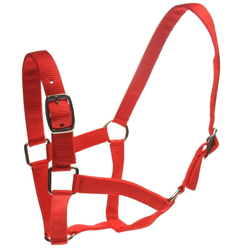 image 1 of Roma Horse Headcollar And Leadrope - Red - Full