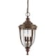 image 1 of English Bridle 3 Light Large Outdoor Ceiling Chain Lantern British Bronze, E14