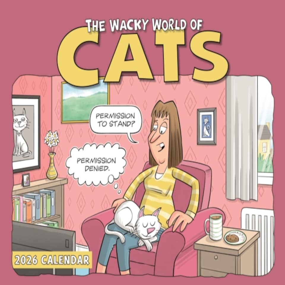 Cats Wacky World A4 Calendar 2026