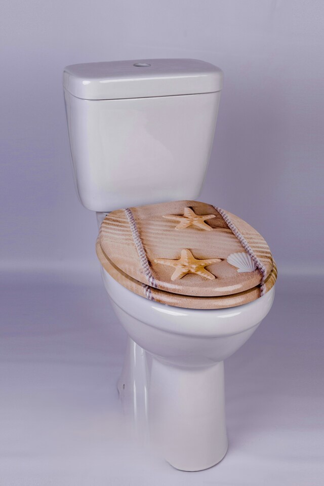 image 1 of RTS Starfish Sand Wood Soft Close Toilet Seat