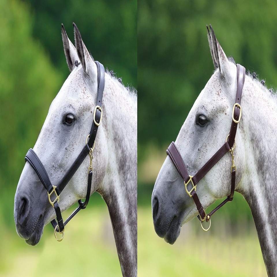 image 1 of Shires Velociti GARA Leather Travel Headcollar Brown | Size: Pony
Colour: H.Brown