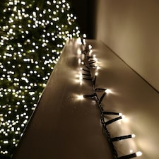 6m 240 LED TreeBrights Multi-Action Christmas String Lights with Timer in Warm White
