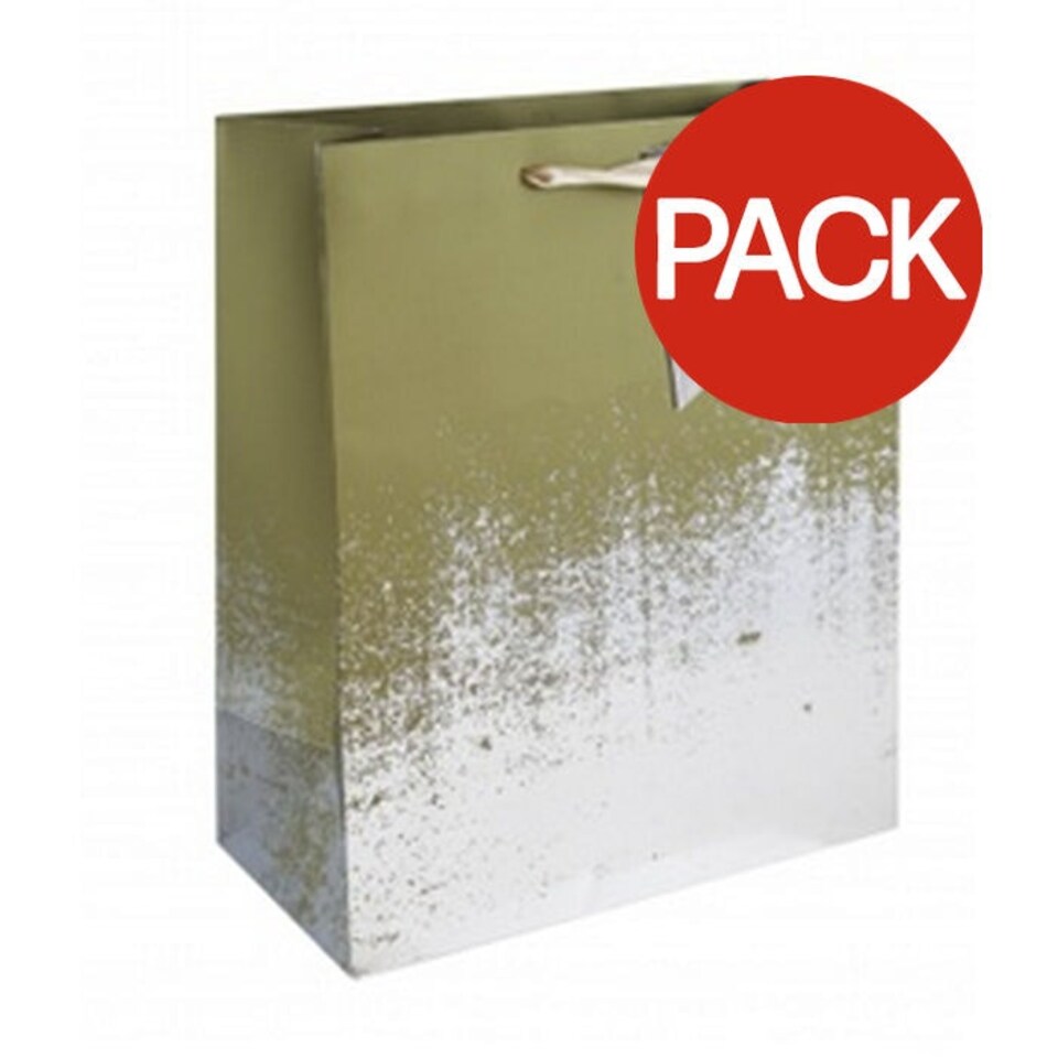 Eurowrap Distressed Gift Bag (Pack of 6) - Gold/Silver - L
