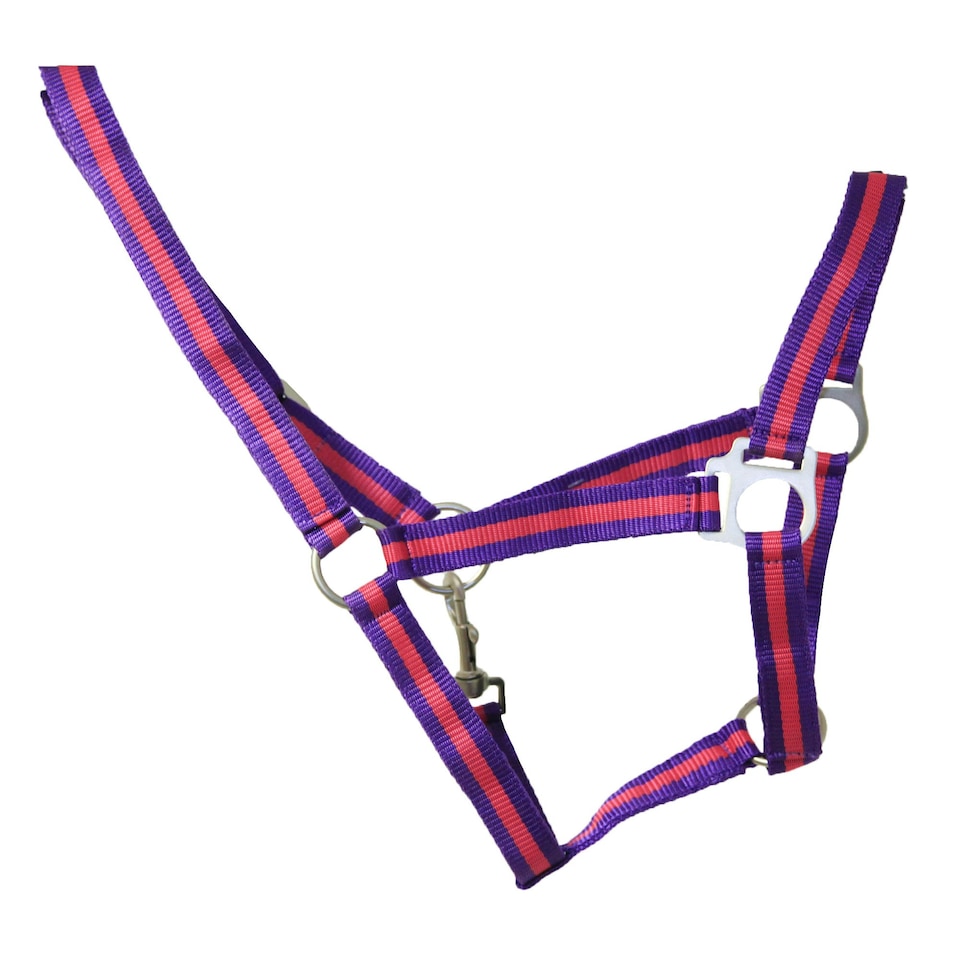 image 1 of Hy Duo Head Collar - Purple/Fuchsia - Pony