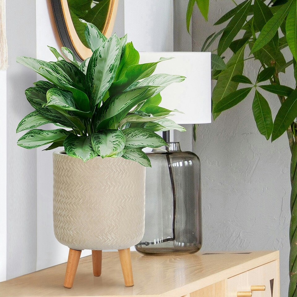 image 1 of Plaited Style Beige Cylinder Planter on Legs, Round Pot Plant Stand Indoor D24 H35 cm, 8.7 ltrs Cap.