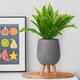 image 8 of Honeycomb Style Dark Grey Planter with Legs, Round Indoor Plant Pot Stand for Indoor Plants by Idealist Lite D21 H34 cm, 6L