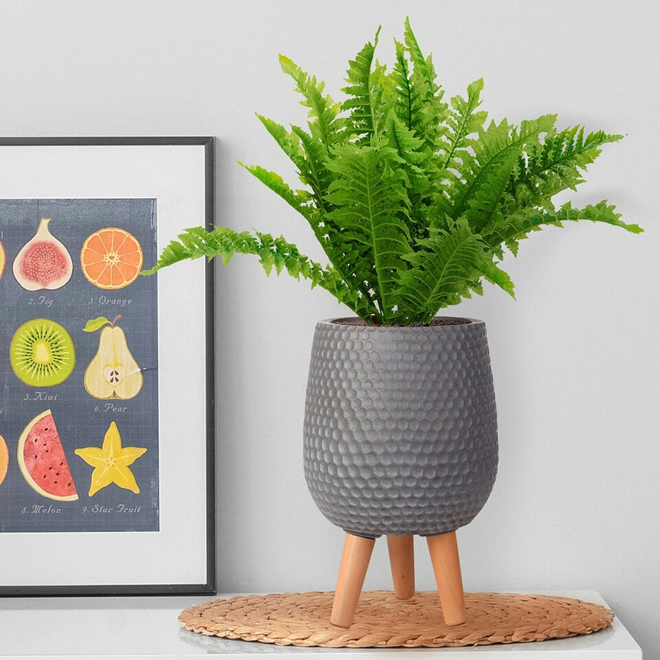 image 1 of Honeycomb Style Dark Grey Planter with Legs, Round Indoor Plant Pot Stand for Indoor Plants by Idealist Lite D21 H34 cm, 6L