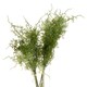 image 2 of Hill Interiors Asparagus Fern Artificial Plant - Green - One Size