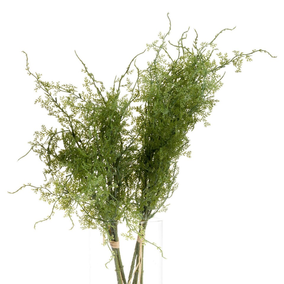 image 1 of Hill Interiors Asparagus Fern Artificial Plant - Green - One Size