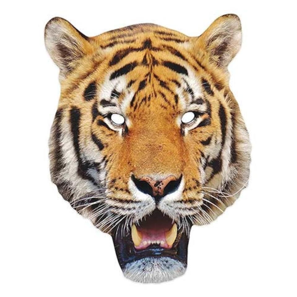 Tiger Animal Cardboard Face Mask