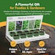 image 5 of Pronto Seed Grow Your Own Kitchen Herb Seed Kit - 5 Varieties - A Thoughtful Gift for Foodies | Multi | Herbs | 1