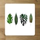 image 2 of leaves selections (Placemat & Coaster Set)