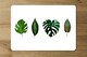 image 2 of leaves selections (Placemat & Coaster Set)