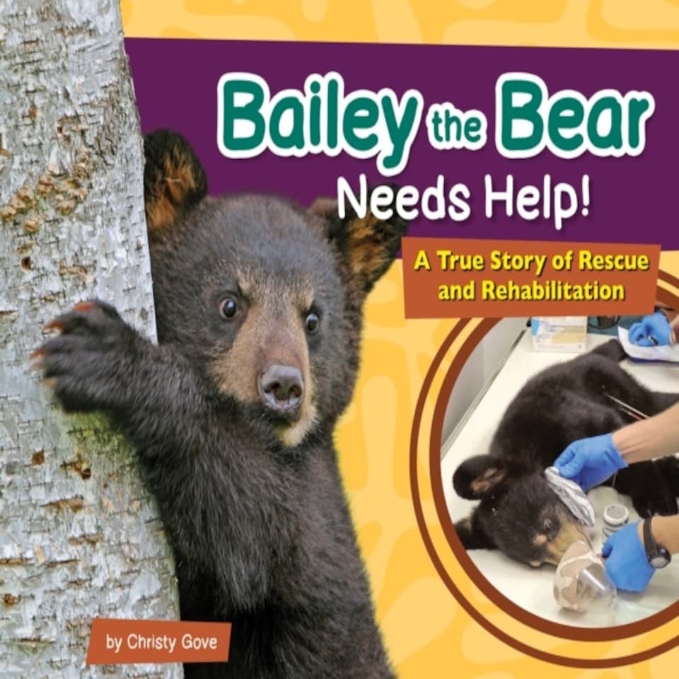 Bailey The Bear Needs Help