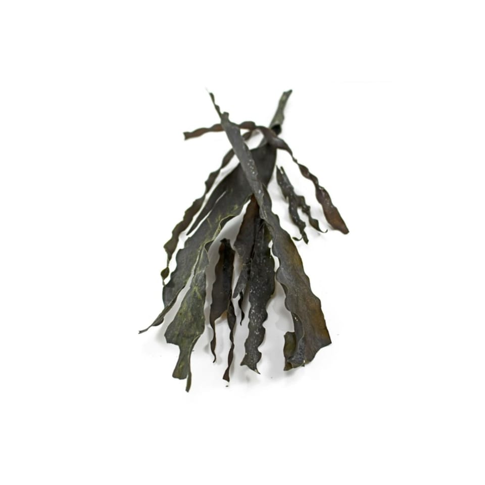 image 1 of Organic Kombu Seaweed 100g (Sussex Wholefoods)