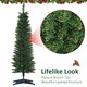 image 7 of HOMCOM 5FT Pencil Slim Artificial Christmas Tree with Study Stand Tips Green