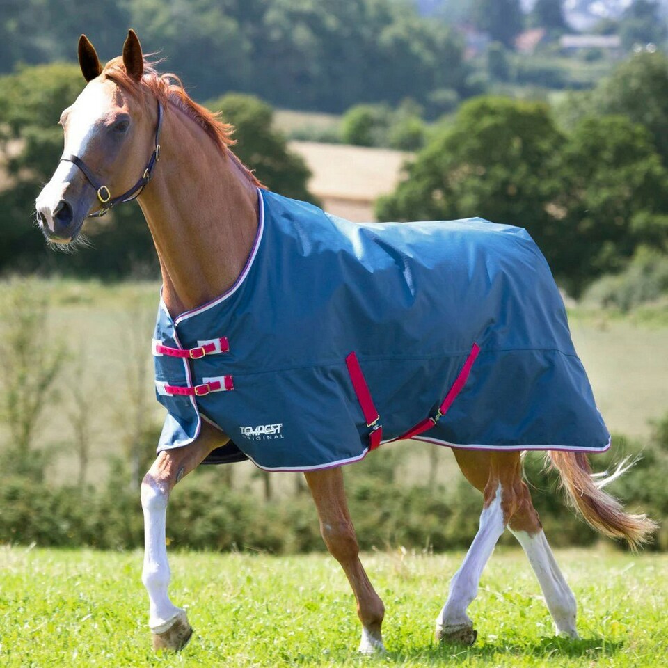 image 1 of Tempest Original Lite Horse Turnout Rug - Teal - 4´ 3"