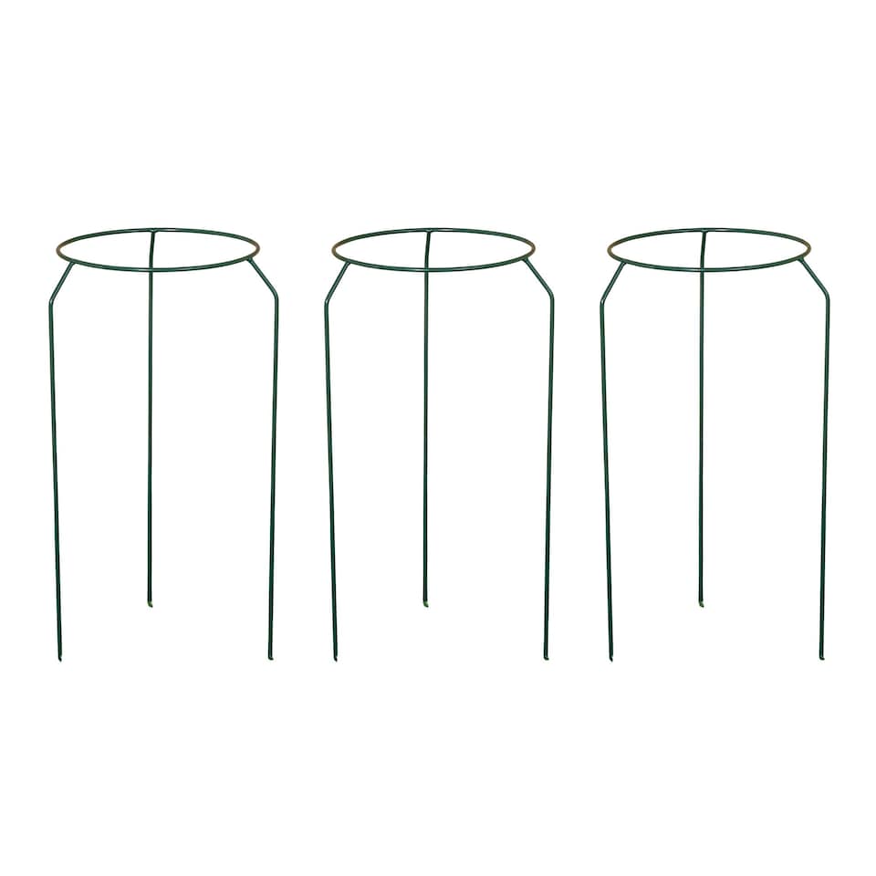image 1 of Pack of 3 Tom Chambers Green Metal Herbaceous Garden Plant Support Rings Small