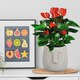 image 9 of Textured Concrete Effect Beige Oval Face Planter Indoor L30.5 D29.5 H29.5 cm, 13.9 ltrs Cap.
