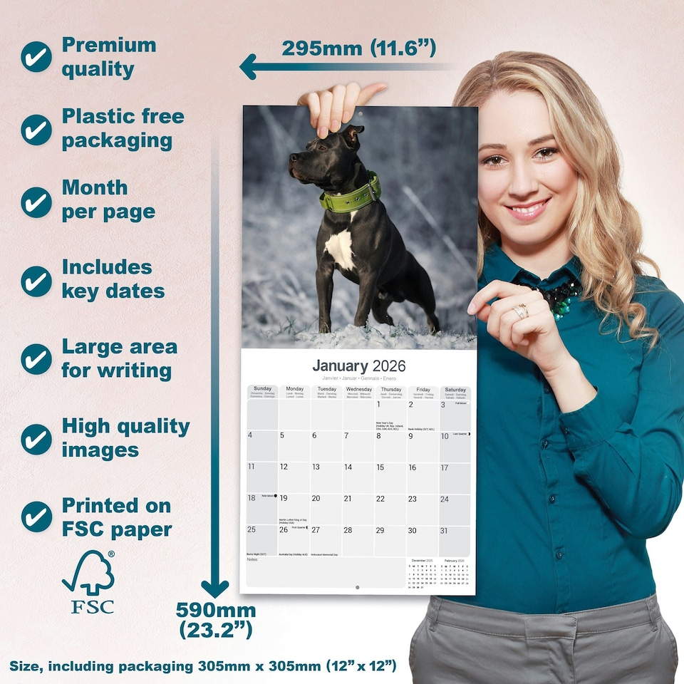 image 1 of American Staffordshire Terrier 2026 Calendar | Square Wall Calendar | Dog Breed Gift | Plastic Free Packaging | by Avonside Publishing