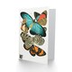 image 2 of Eugene Seguy Art Card Vintage Butterflies Blue and Orange