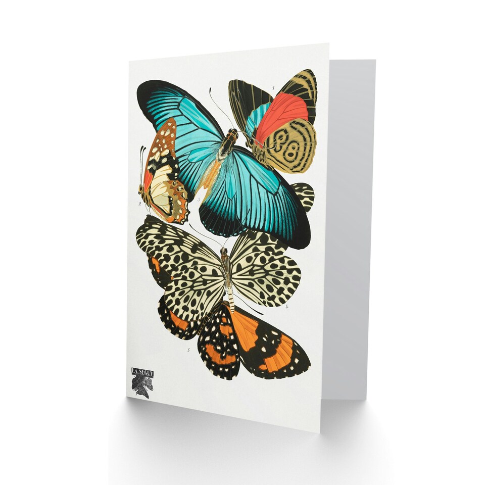 image 1 of Eugene Seguy Art Card Vintage Butterflies Blue and Orange