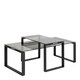 image 1 of Katrine Coffee Table Set with Smoked Glass Top