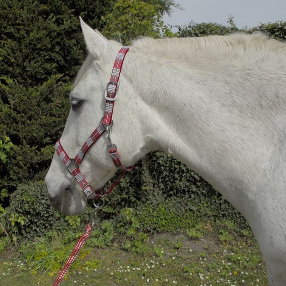 image 1 of Rhinegold Carnival Headcollar & Rope Blue | Colour: Blue Check
Size: Full