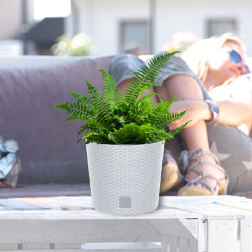 image 1 of 25 cm Rato Rattan Design Plant Pots Round -1-2 Pack | White | White & Set of 2 | 2