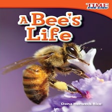 A Bee's Life Paperback Book