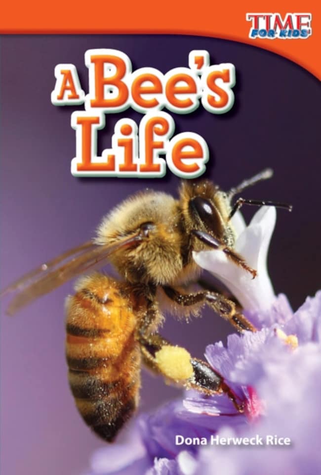 A Bee's Life Paperback Book