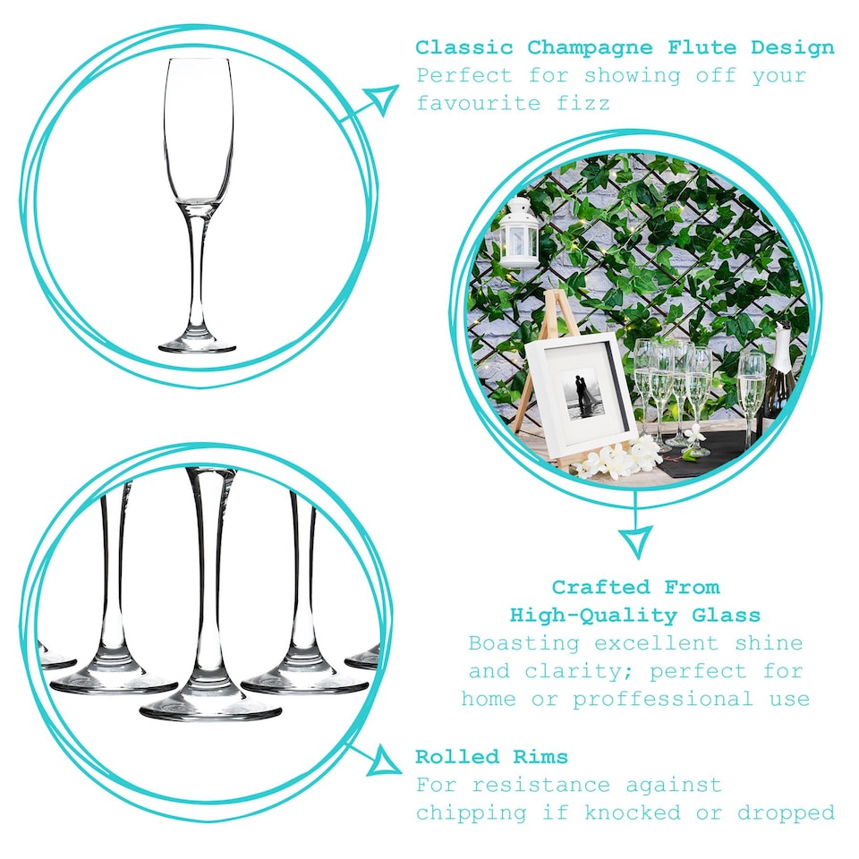 image 1 of Argon Tableware Classic Champagne Flutes - 220ml - Pack of 24