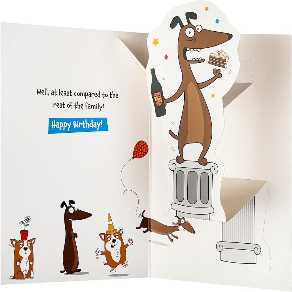 image 1 of Dog Illustration Pop Up Design Funny Brother Birthday Card