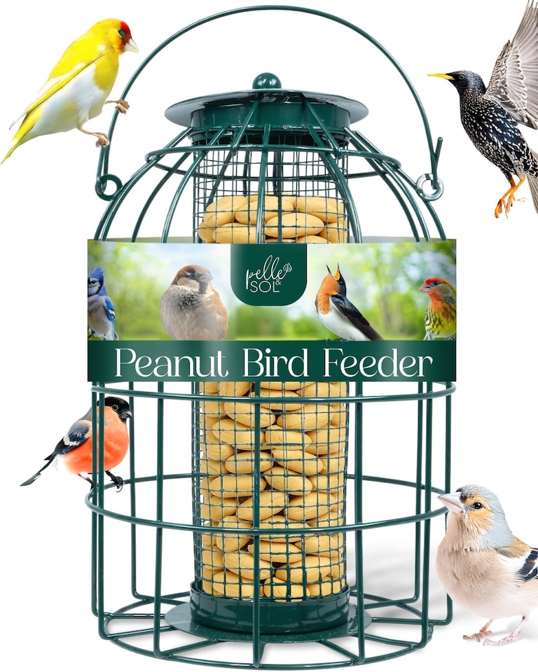 image 1 of Pelle & Sol Peanut Bird Feeder Squirrel Proof
