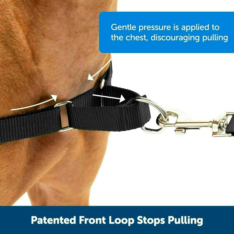 image 1 of PetSafe Easy Walk Harness - Small/Medium-Black