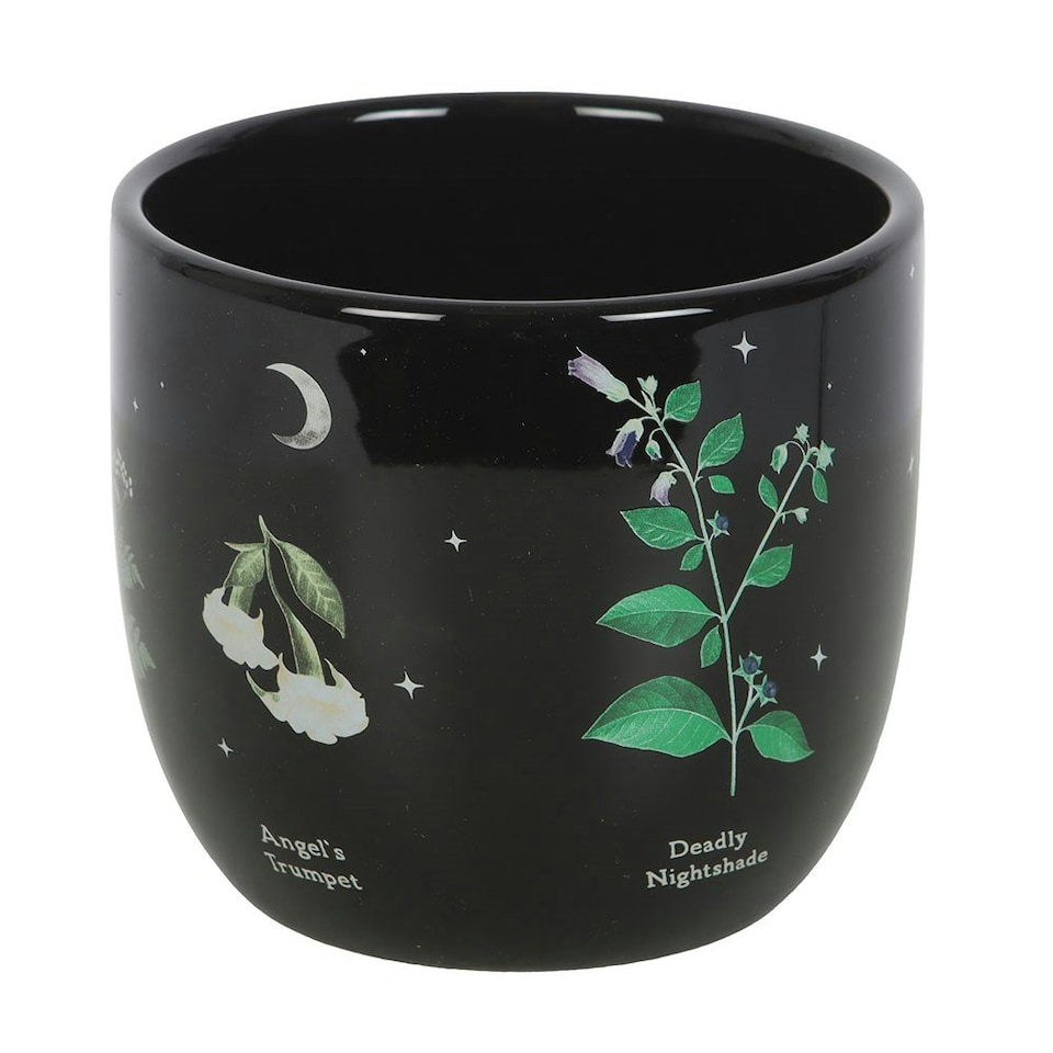 image 1 of Something Different Poisonous Plants Plant Pot - Black - One Size