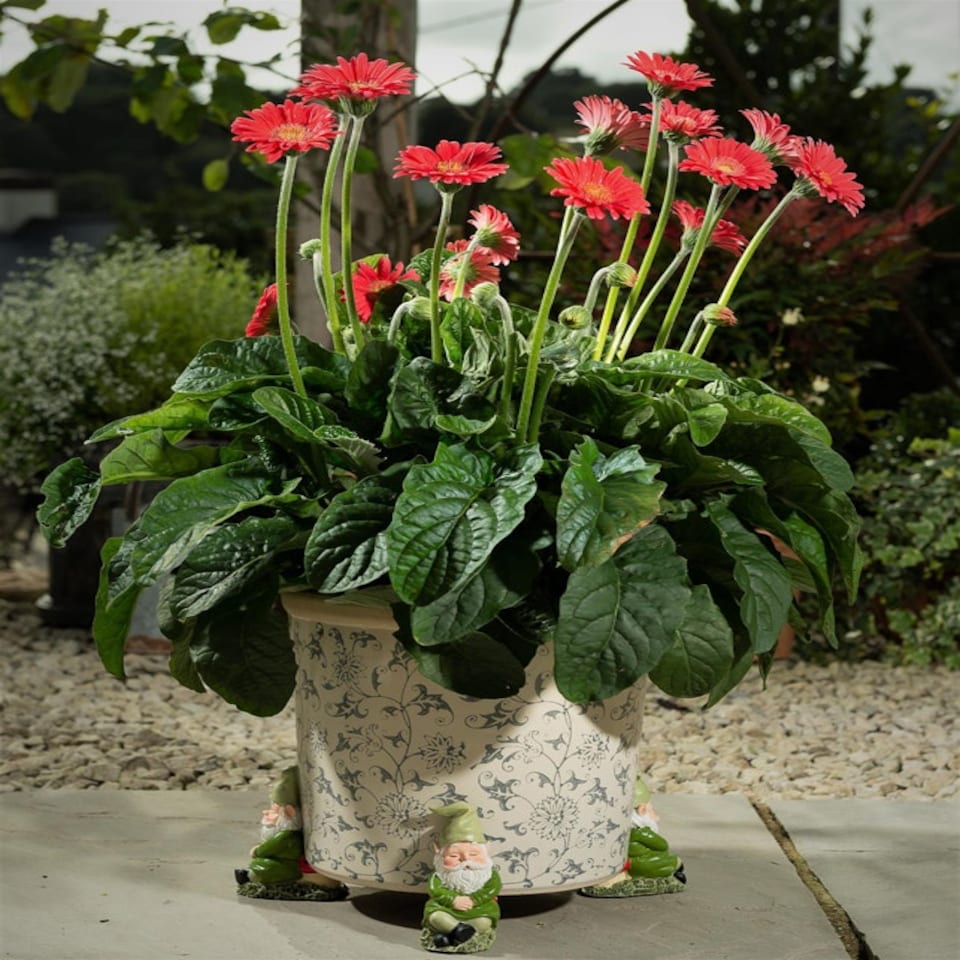 image 1 of Sleeping Gnome Plant Pot Feet - Set of 3 Green