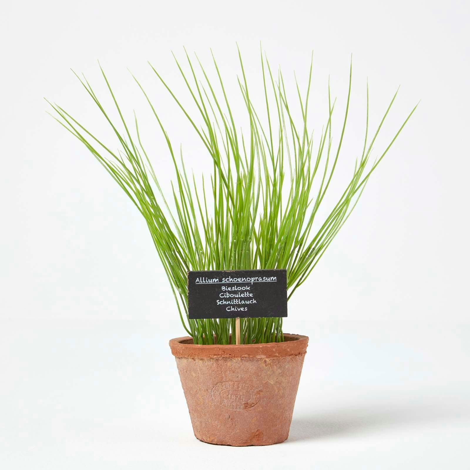 Homescapes Artificial Chive Plant in Decorative Pot in Terracotta