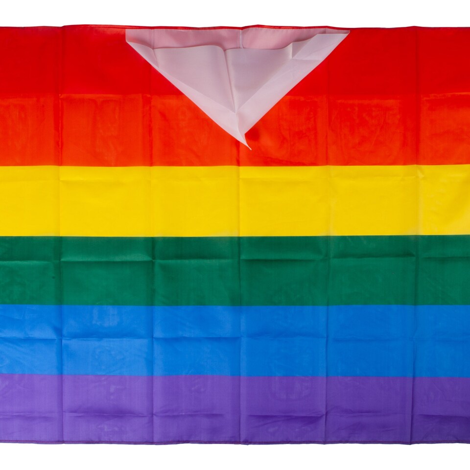 image 1 of VFM e-Store Rainbow Pride Hooded Cape 90 x 150cm