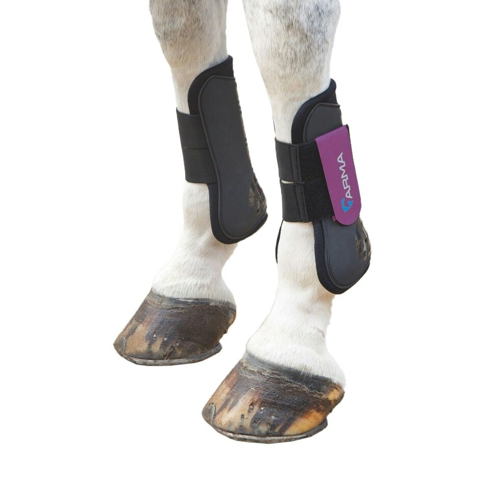 ARMA Horse Tendon Boots - Black/Plum - Full