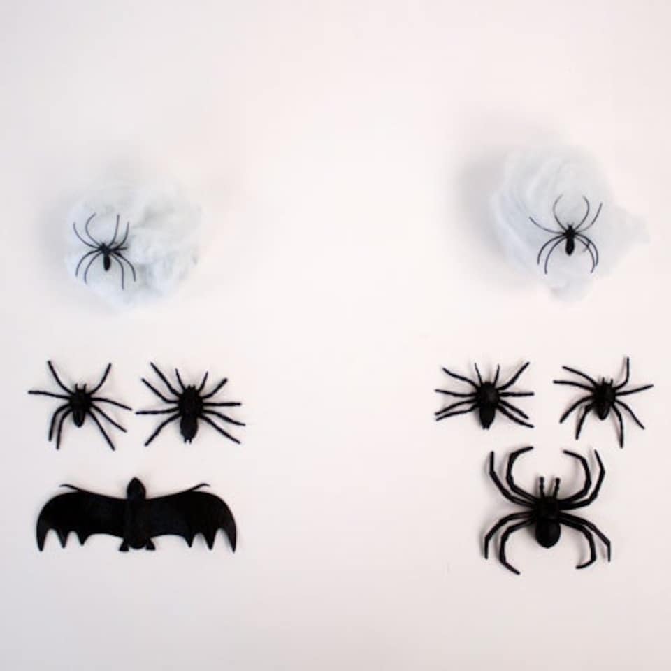 image 1 of Assorted Halloween Creatures with Cobweb Set