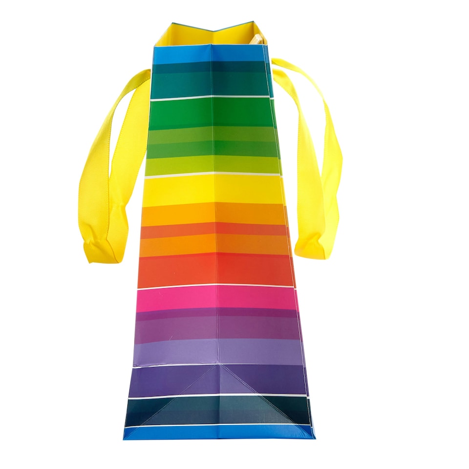 image 1 of Multipack of 3 Medium Gift Bags | Party Bags for Presents | Birthdays | For Him/Her/Friend | Rainbow Design