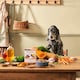image 7 of Senior Turkey & Butternut Squash Wet Dog Food (18x395g)