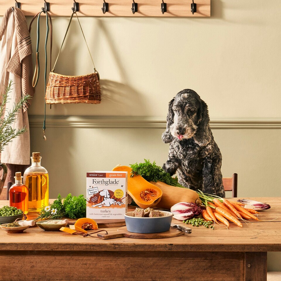 image 1 of Senior Turkey & Butternut Squash Wet Dog Food (18x395g)