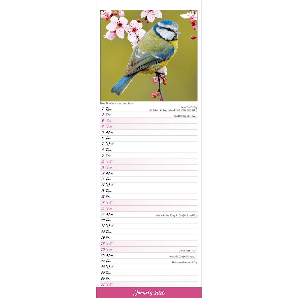 image 1 of Garden Birds Slim 2026 Calendar | Slimline Wall Calendar | Bird Gift | Plastic Free Packaging | by Avonside Publishing [Calendar] Avonside Publishing Ltd