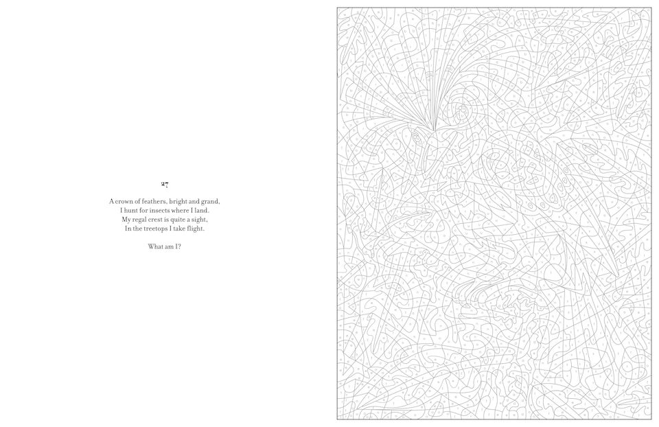 image 1 of Mystery Colouring - Wild Animals Book