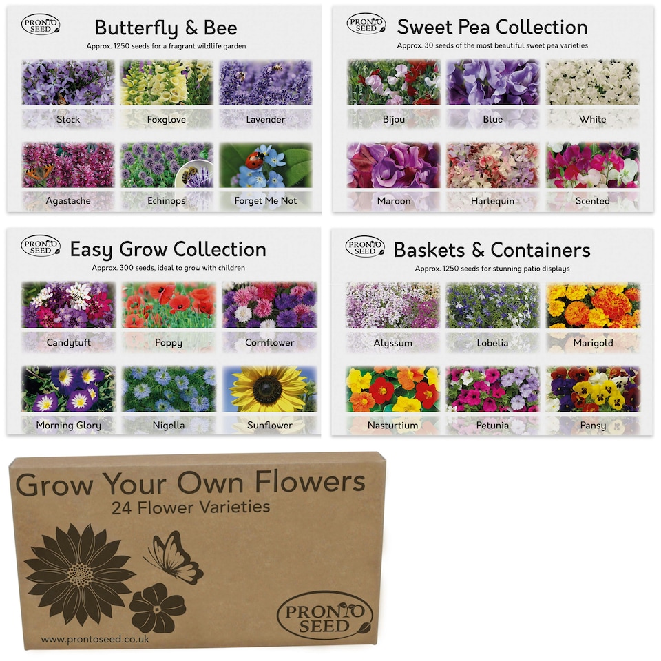 image 1 of Pronto Seed Flower Bumper Pack - 24 Varieties, Over 3,100 Flower Seeds for Beds, Pots and Baskets